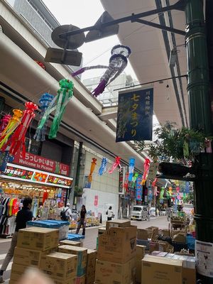 川崎の調査　2025-07-10 10 54 20.jpg