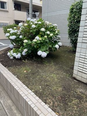 成城警察署2025-06-04 9 20.jpg