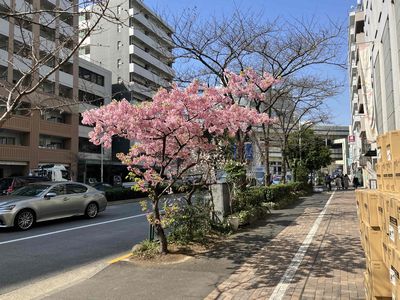 法務局港出張所.JPG