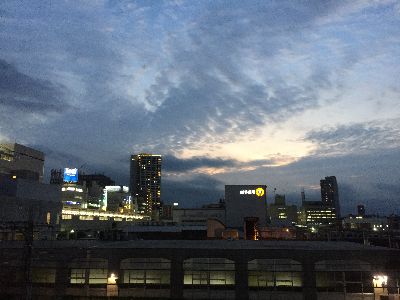 IMG_8247.JPG